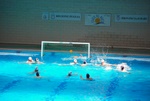 flipper_vs_modugno_21.jpg