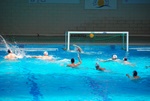 flipper_vs_modugno_22.jpg