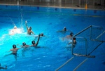 flipper_vs_modugno_23.jpg