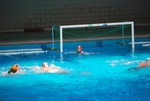flipper_vs_modugno_31.jpg