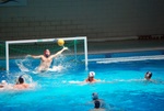 flipper_vs_modugno_32.jpg