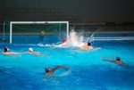 flipper_vs_modugno_33.jpg