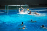 flipper_vs_modugno_35.jpg
