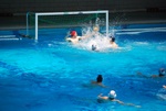 flipper_vs_modugno_36.jpg