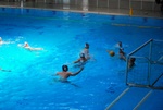 flipper_vs_modugno_37.jpg