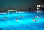 flipper_vs_modugno_38.jpg
