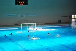 flipper_vs_modugno_39.jpg
