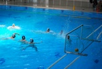 flipper_vs_modugno_40.jpg