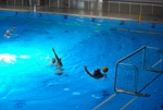 flipper_vs_modugno_43.jpg