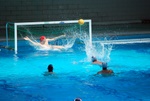flipper_vs_modugno_44.jpg