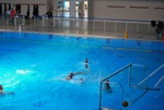 flipper_vs_modugno_45.jpg