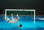 flipper_vs_modugno_49.jpg