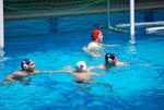 flipper_vs_modugno_52.jpg