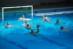 flipper_vs_modugno_54.jpg