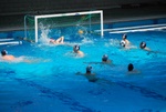flipper_vs_modugno_55.jpg