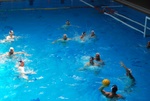 flipper_vs_modugno_57.jpg