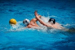 flipper_vs_modugno_59.jpg