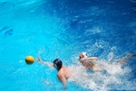 flipper_vs_modugno_60.jpg