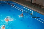 flipper_vs_modugno_61.jpg