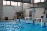 crotone_vs_flipper_19.jpg