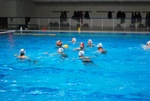 flipper_vs_maglie03.jpg