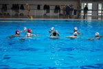 flipper_vs_maglie05.jpg