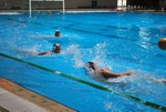 flipper_vs_maglie07.jpg