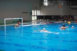 flipper_vs_maglie11.jpg
