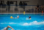 flipper_vs_maglie12.jpg