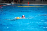 flipper_vs_maglie13.jpg