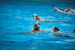 flipper_vs_maglie14.jpg