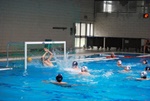 flipper_vs_maglie17.jpg