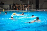 flipper_vs_maglie18.jpg