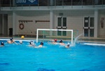 flipper_vs_maglie19.jpg