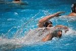flipper_vs_maglie24.jpg