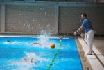 flipper_vs_maglie29.jpg