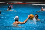 flipper_vs_maglie34.jpg
