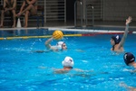 flipper_vs_maglie35.jpg