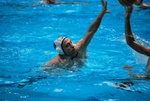 flipper_vs_maglie36.jpg
