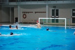 flipper_vs_maglie40.jpg