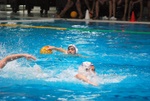 flipper_vs_maglie44.jpg