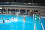 flipper_vs_maglie45.jpg
