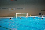 flipper_vs_maglie46.jpg
