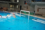flipper_vs_maglie47.jpg