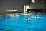 flipper_vs_maglie48.jpg