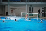flipper_vs_maglie51.jpg