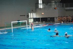flipper_vs_maglie52.jpg