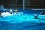 flipper_vs_crotone_52.jpg