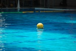 flipper_vs_crotone_56.jpg