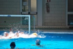 flipper_vs_crotone_60.jpg